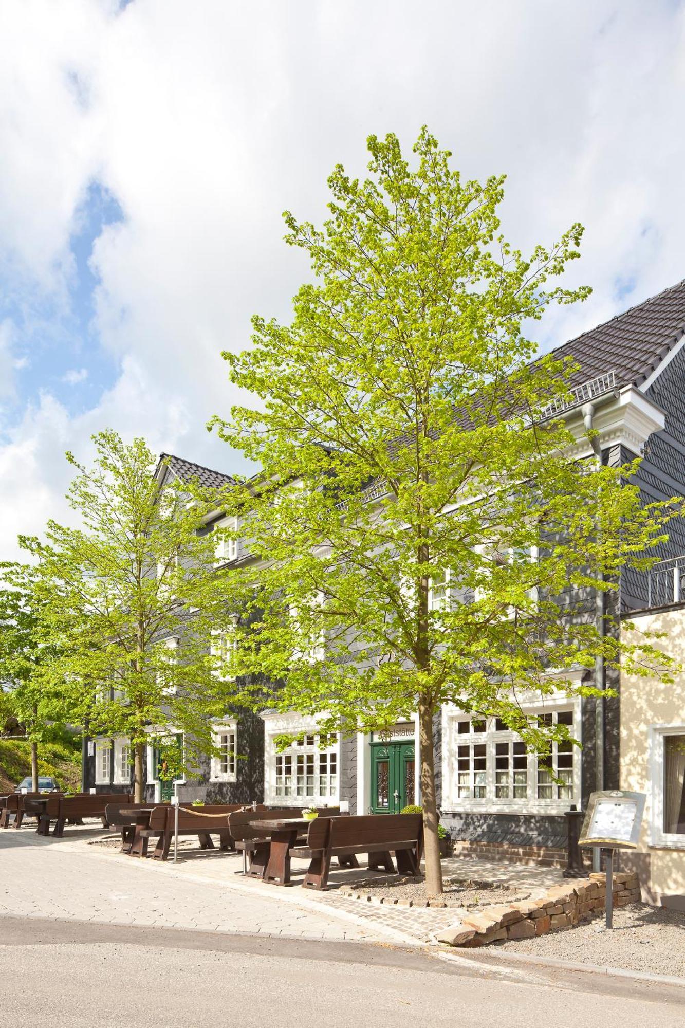 Zu Den Drei Linden Hotell Wermelskirchen Eksteriør bilde